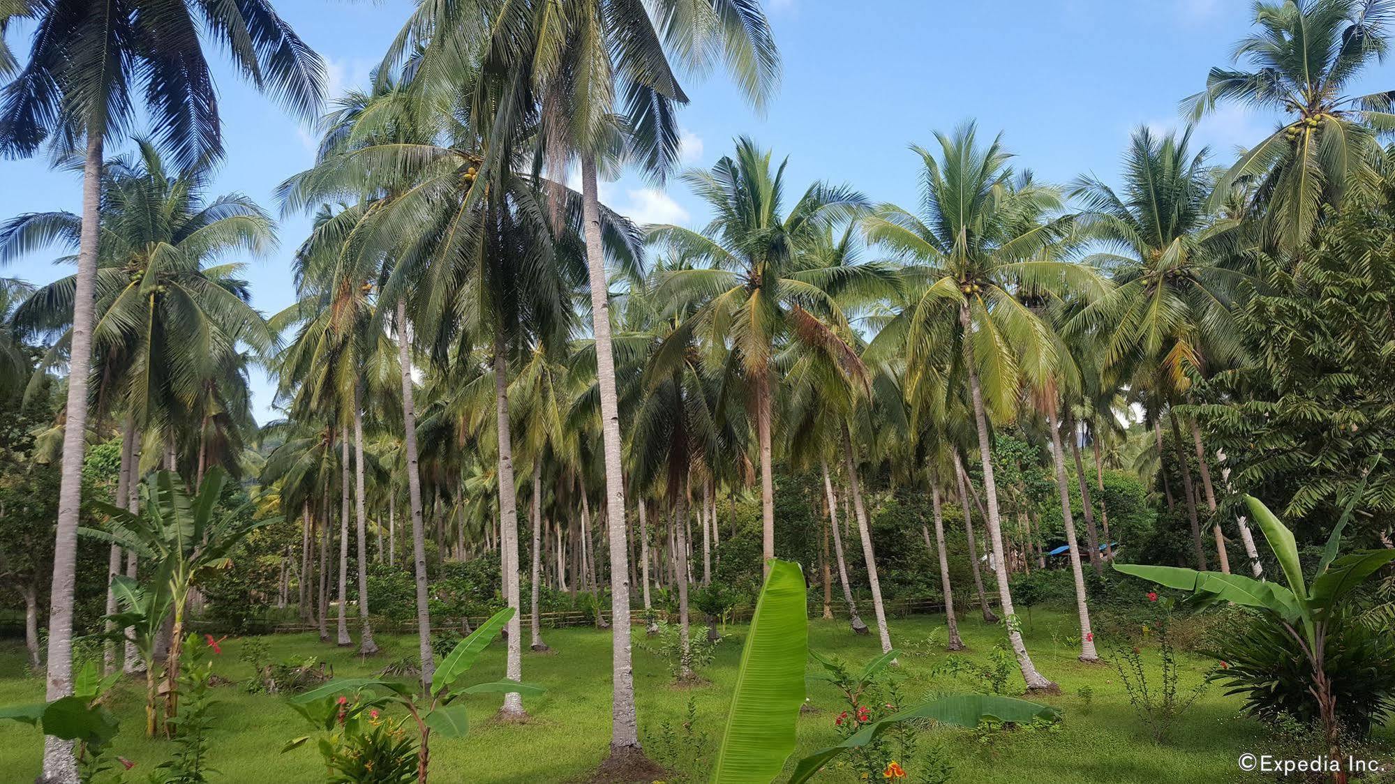 Mangrove Resort Puerto Princesa Exterior photo